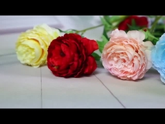 Simulación de bodas de peonías y decoración de hogares de rosas
