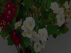 Flor de rosa simulada Frontera transversal con varias cabezas Flor simulada Artificial Bouquet Decoración de bodas