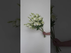 3 piezas de flores de Campanula simuladas, adornos para la decoración del hogar, flores de seda, accesorios de fotografía,
