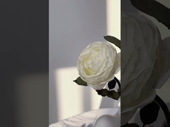 Simulación de flor única Manta rosa ramo de proyección de apoyo, decoración del hogar nórdico ramo de bodas cr