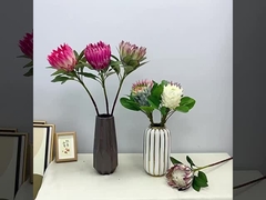 Simulación de color de primavera escena de rodaje de la flor del rey la flor del emperador casa de flores decoración de flores falsas boda