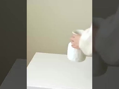 Simulación de 8 pequeños caqui, imitación de caqui reales y falsos, decoración del hogar, boda, etc.