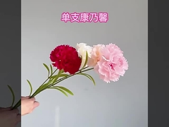 Simulación de una sola rama Kangnaixin regalo para el día de la madre Simulación de una flor de seda de alta gama