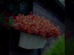 Decoraciones para festivales al aire libre, plantas de otoño, hojas artificiales de eucalipto, violetas de eucalipto, margaritas