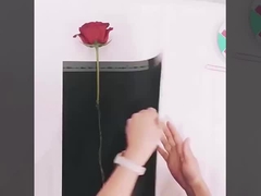 Papel de envoltura para el Día de la Madre con una sola flor, bolso de envasado de un solo ramo de rosas, envoltura de flores de claveles