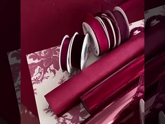 2024 El elemento rojo de Ankela