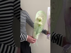 Las flores terminadas en una sola bolsa, ramos de rosas, el Día de San Valentín y el Día de los Maestros regalos para los mejores