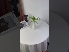 Verdaderas plantas verdes envuelven lágrimas de amante, arreglo de flores, flores de mesa de comedor, decoración del hogar, h