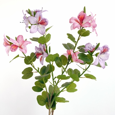Un buen precio. Flor de Bauhinia artificial de redbud chino de plástico para decoración en el hogar y el hotel en línea