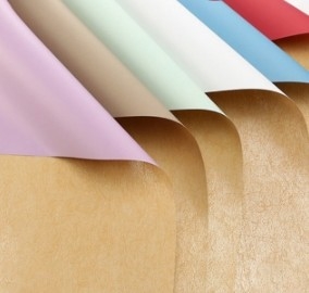 comprar Papel de embalaje de flores de Cynthia online manufacture