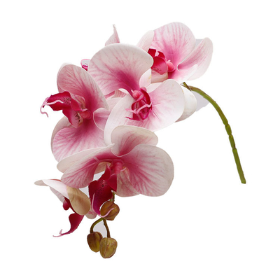 comprar Simulación de plástico 3D de orquídeas mariposas de mariposas, accesorios de pétalos, flores falsas, pequeños paquetes de flores, flores simuladas de orquídeas mariposas online manufacture
