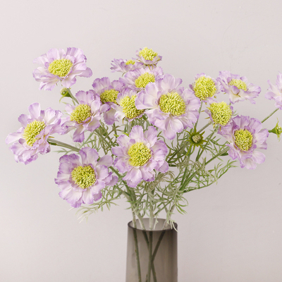 comprar Rueda de simulación Pico Crisantemo Pino Cordyceps Casa Falsos Colocación de flores Requisitos Decoración Cornflower Simulación de flores Plástico online manufacture