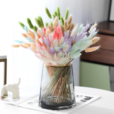 comprar En el sitio web de Ins, el ramo de flores rojas es la flor de la vida eterna, decoración de la sala de estar del hogar, ornamento, cola de conejo, hierba, cola de perro, hierba. online manufacture