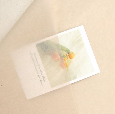 comprar Effortlessly Elegant Korean-Style Copy Paper for Flower Wrapping and Gift Packaging Fabricación en línea