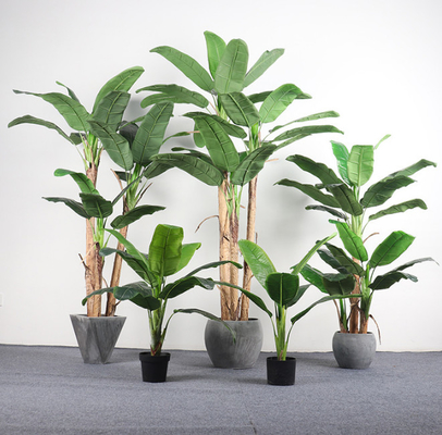 Un buen precio. El árbol de hoja perenne artificial de las hojas grandes sale de las plantas del piso de Japonica en línea
