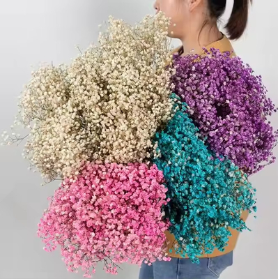Un buen precio. 100g de flor seca Bouquet artificial Baby Breath Gypsophila Flor de la decoración de la boda Piesa central en línea