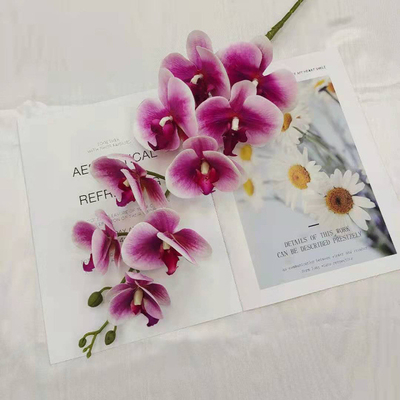 Un buen precio. Simulación de decoración de fondo de la boda de Phalaenopsis en línea