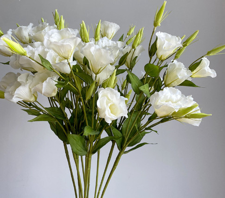 Un buen precio. 3 piezas de flores de Campanula simuladas, adornos para la decoración del hogar, flores de seda, accesorios fotográficos, guías de la boda, paisajes, ramos de flores falsos en línea