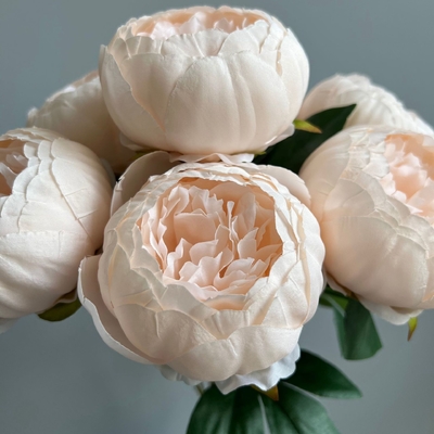Un buen precio. 7 cabeza núcleo peonía simulación ramo de flores de bodas material peonía peonía sala de bodas simulación flor en línea