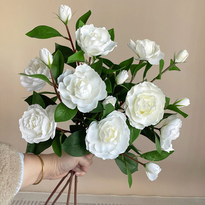 Un buen precio. Las plantas de jardinería artificial, mesa de comedor, salón, dormitorio, ramos para la decoración del hogar, flores artificiales, accesorios para fotografiar, accesorios para fotografía en línea