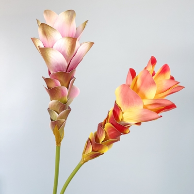 Un buen precio. Flores simuladas, flores de jengibre, flores de loto, impresión en 3D, flores de textura, decoración del hogar, decoración de habitaciones modelo, accesorios para escenarios de bodas, ramo en línea