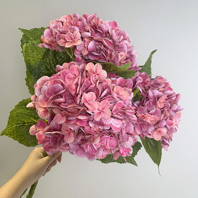 Un buen precio. Flores de hortensias biomiméticas, flores simuladas, toque hidratante, ramos de hortensias, decoraciones de mesa del salón, decoraciones de flores de bodas en línea