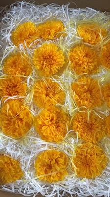 Un buen precio. Preserved flower dhalia romantic Valentine's Day gift hand-made bouquet material  en línea
